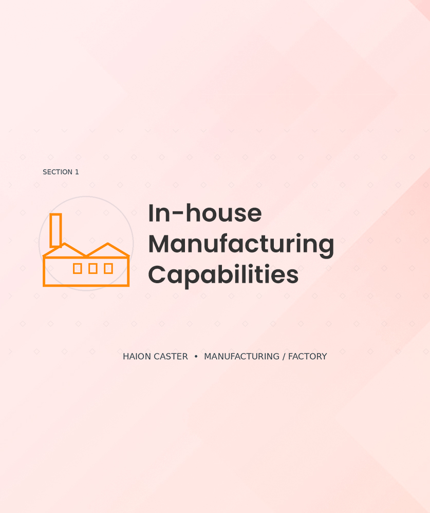 In-house Manufacturing Capabilities